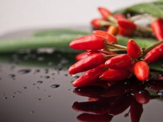 peperoncino indoor