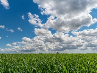 agricoltura ecostostenibile