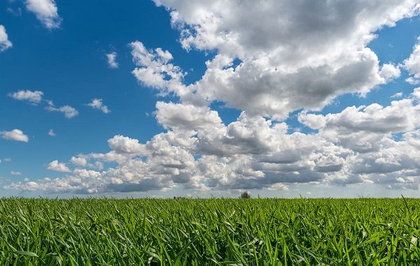 agricoltura ecostostenibile agricoltura ecostostenibile